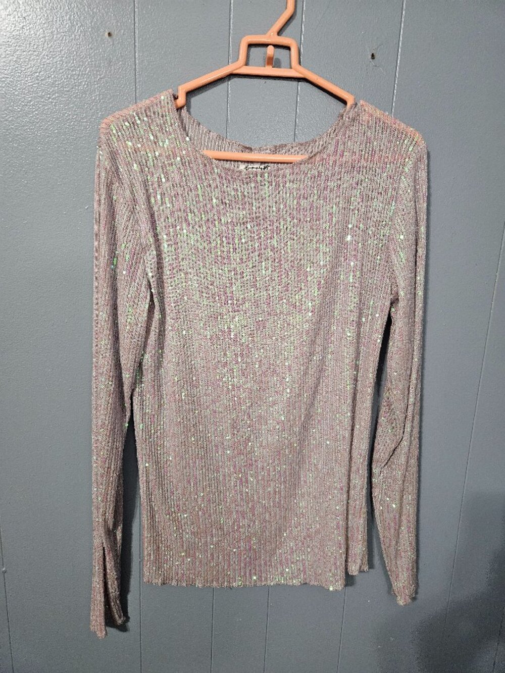Free People Intimately Pink Sequin Long Sleeve Blouse XL